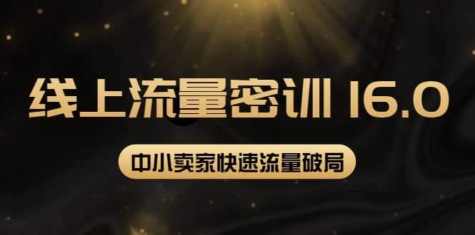 2022秋秋线上流量密训16.0：包含 暴力引流10W 中小卖家流量破局技巧 等等！