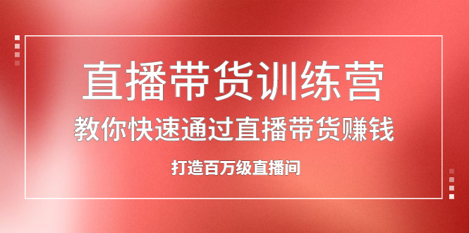 直播带货训练营，教你快速通过直播带货赚钱，打造百万级直播间