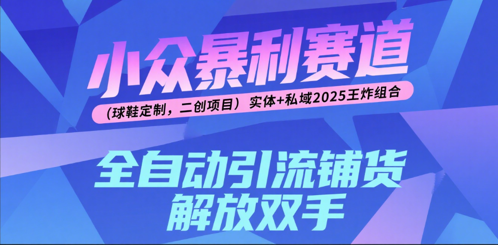 楠—小众暴利赛道（球鞋定制，二创项目）实体+私域2025王炸组合